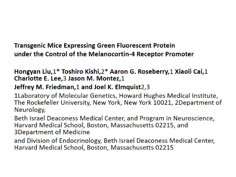 Transgenic Mice Expressing Green Fluorescent Protein under the Control of the Melanocortin-4 Receptor Promoter